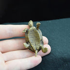 Mini Brass Turtle Figurine – Symbol of Longevity & Good Fortune