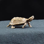 Mini Brass Turtle Figurine – Symbol of Longevity & Good Fortune