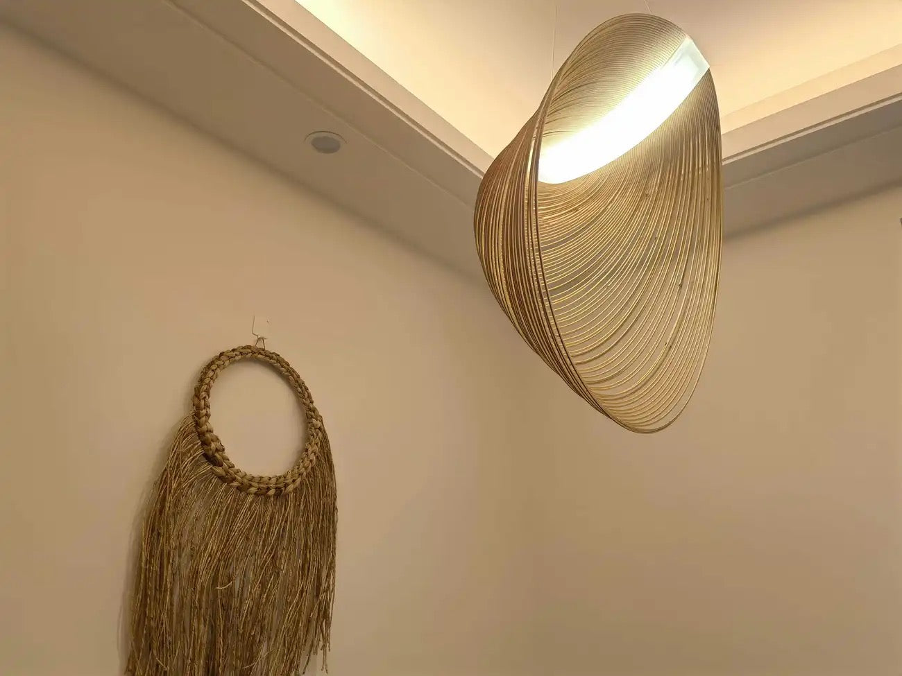 Sculptural Pendant Light – Modern Curved Minimalist Chandelier