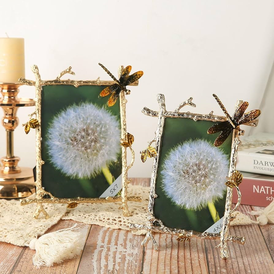 Vintage Dragonfly Enamel Picture Frame – 4x6 5x7
