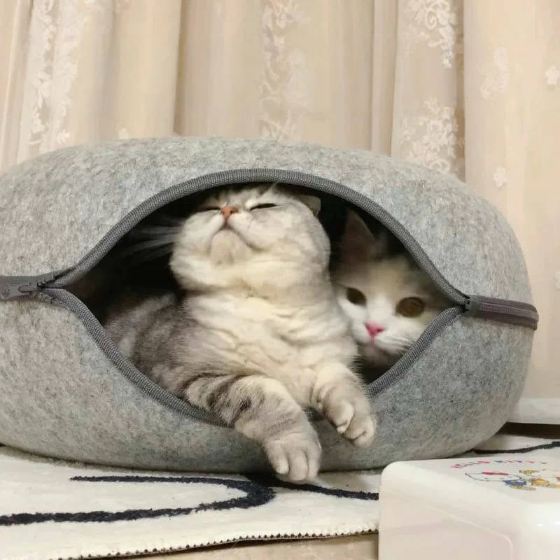 Convertible Felt Cat Cave Bed with Zipper – Modern 2-in-1 Donut Pet Hideout