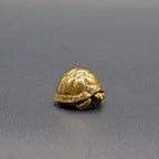 Mini Brass Turtle Figurine – Symbol of Protection & Longevity
