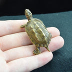 Mini Brass Turtle Figurine – Symbol of Longevity & Good Fortune