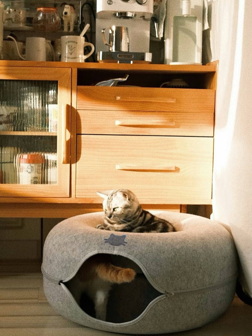 Convertible Felt Cat Cave Bed with Zipper – Modern 2-in-1 Donut Pet Hideout