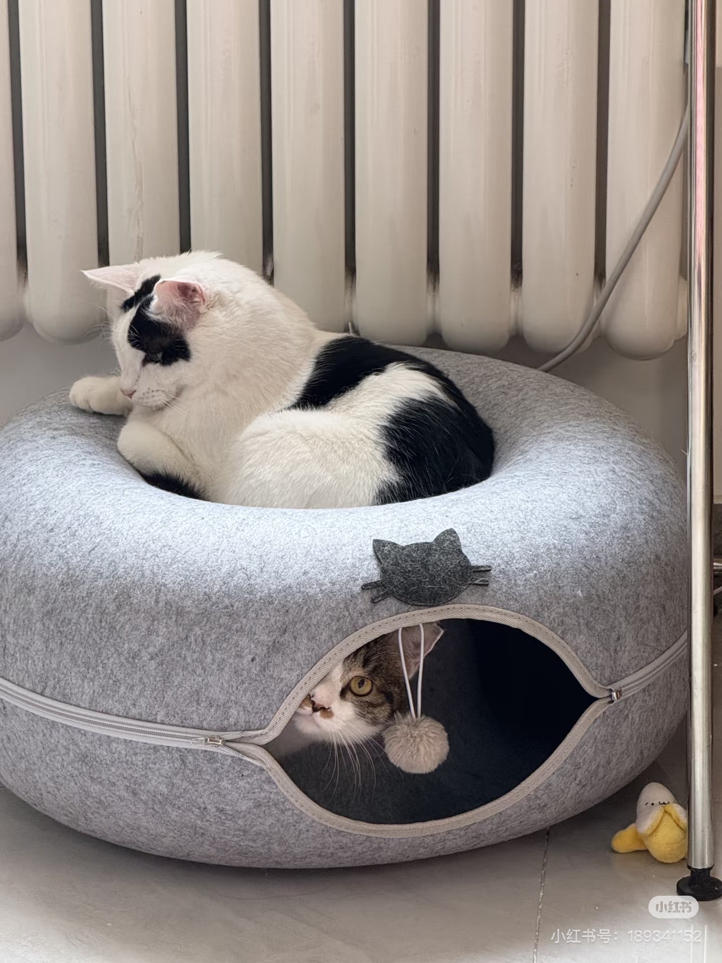 Convertible Felt Cat Cave Bed with Zipper – Modern 2-in-1 Donut Pet Hideout