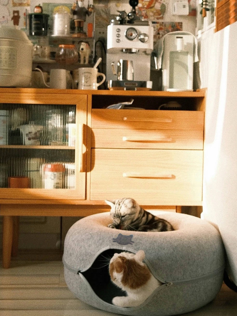 Convertible Felt Cat Cave Bed with Zipper – Modern 2-in-1 Donut Pet Hideout