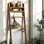 Rustic Wooden Ladder Shelf with Hanging Rack