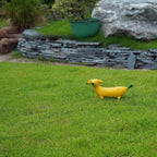 Banana Dog Resin Statue – Whimsical Dachshund Fruit Sculpture for Home, Garden, or Office Decor