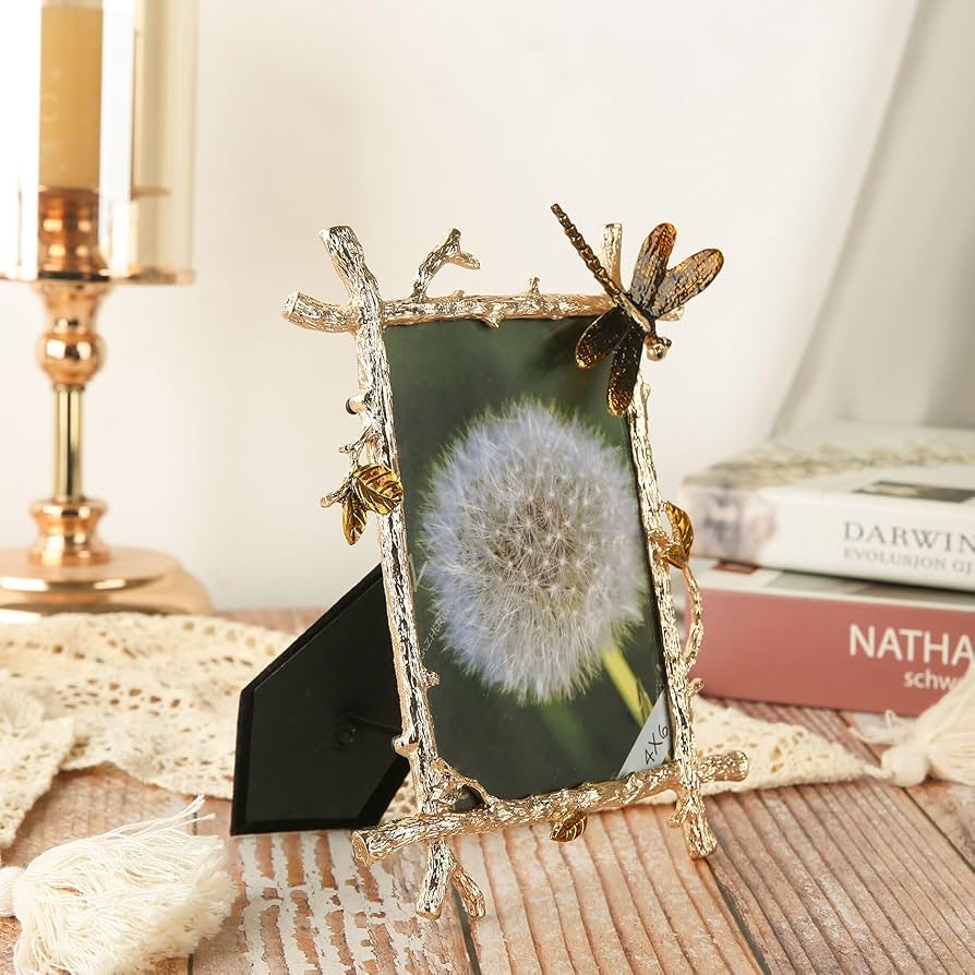 Vintage Dragonfly Enamel Picture Frame – 4x6 5x7