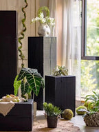 Charcoaled Pedestal Stand - Solid Wood - Display Base for Home Decor, Sculptures, or Plants