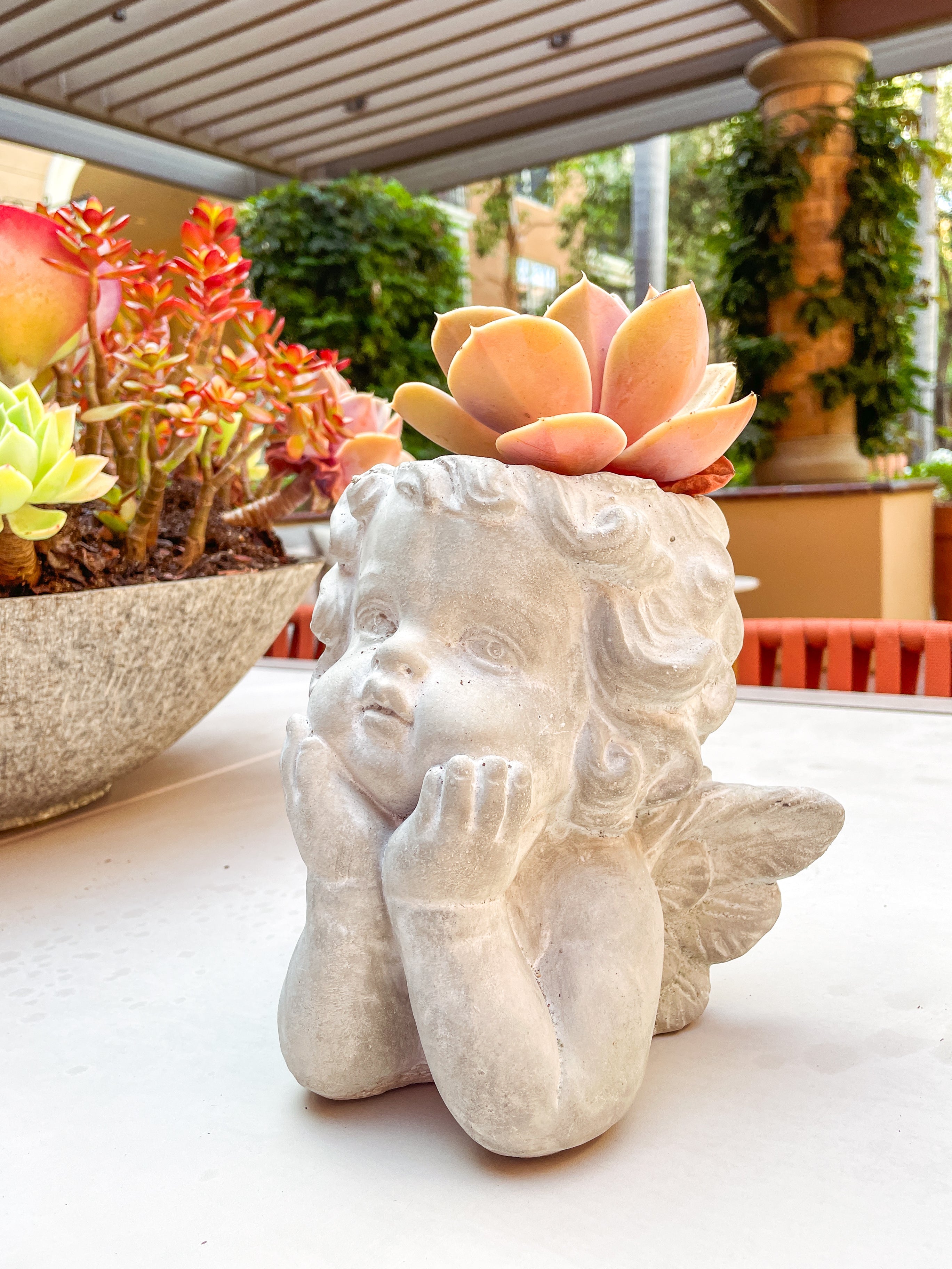 Kalalou Cupid Angel Cement Plant Pot - Customized Succulent Arrange Available