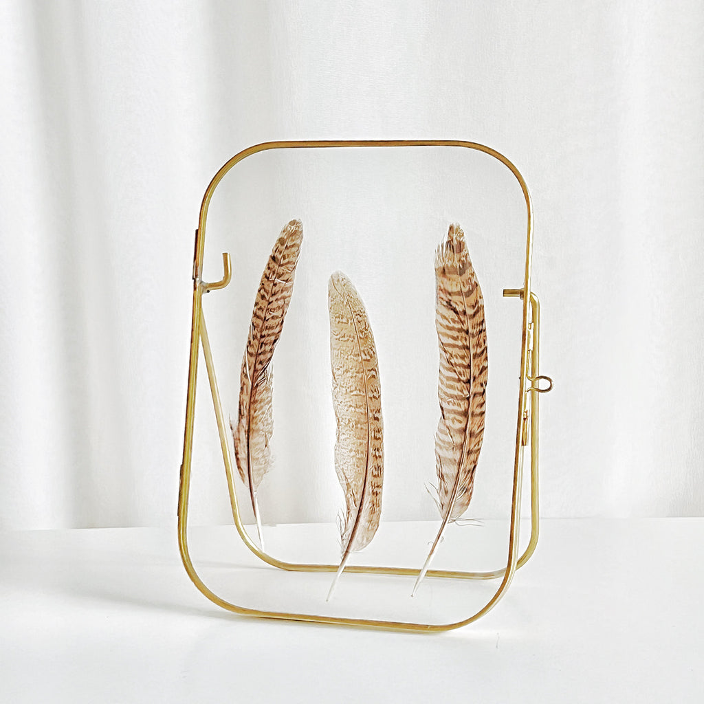 Arched Round Corner Gold Floating Picture Frames