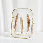 Arched Round Corner Gold Floating Picture Frames