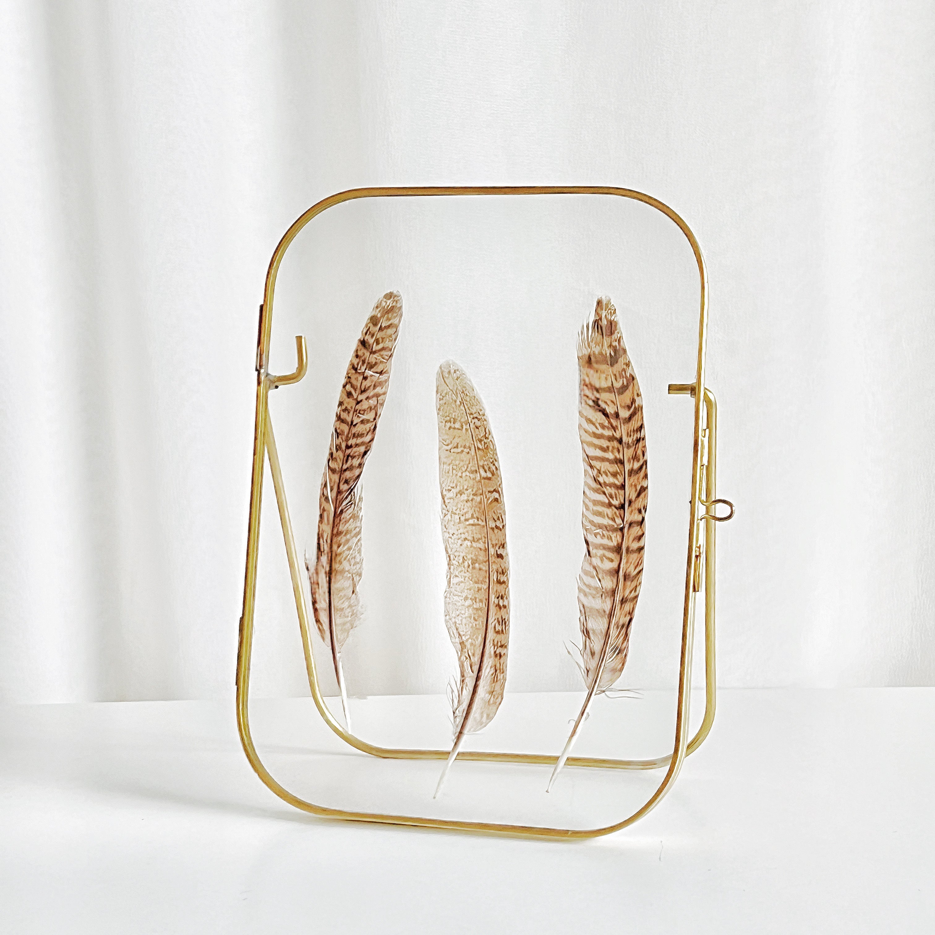 Arched Round Corner Gold Floating Picture Frames