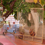 Gold-Edged Glass Frame Display with Compartment Cases